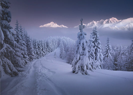 In the Winter | Canvas