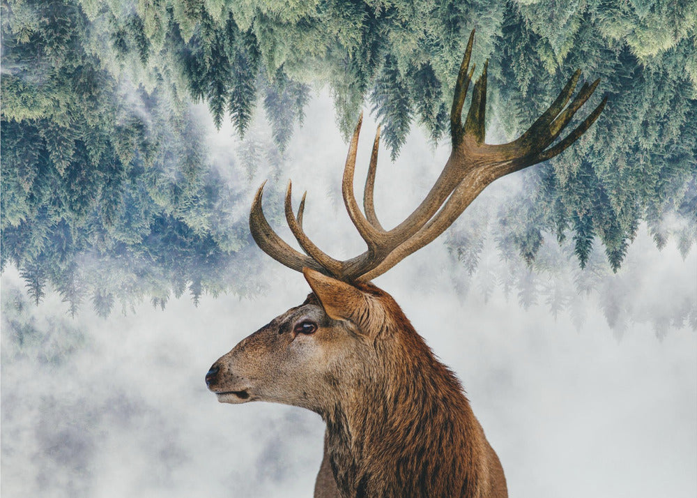 The Deer and the woods | Poster