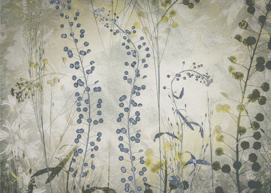 Fantasy | Canvas