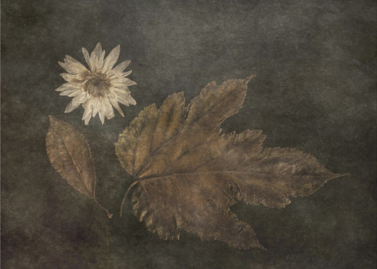 Het Trio | Canvas