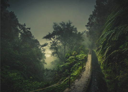 Levada-wandeling | Poster