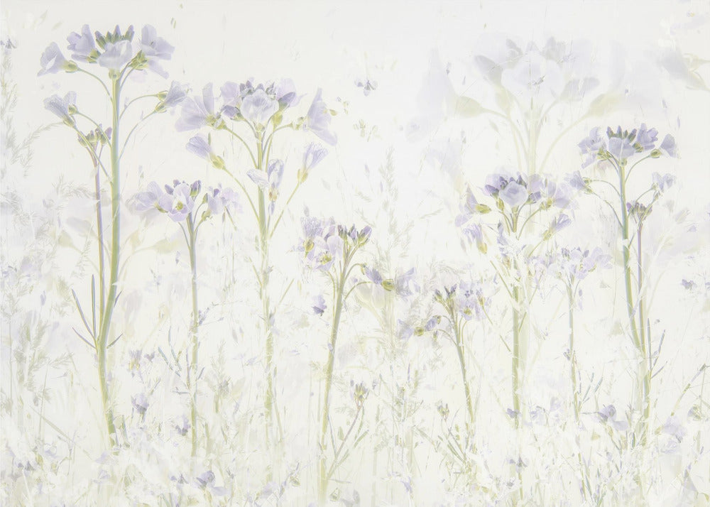Lente in huis | Canvas