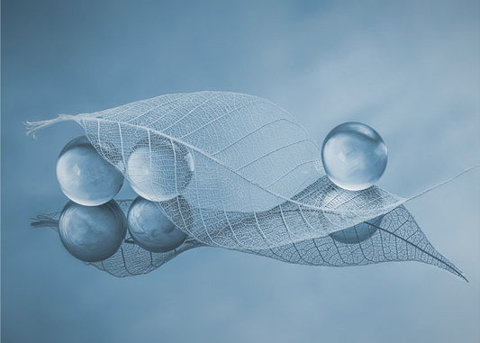 Droog blad en bubbels | Canvas