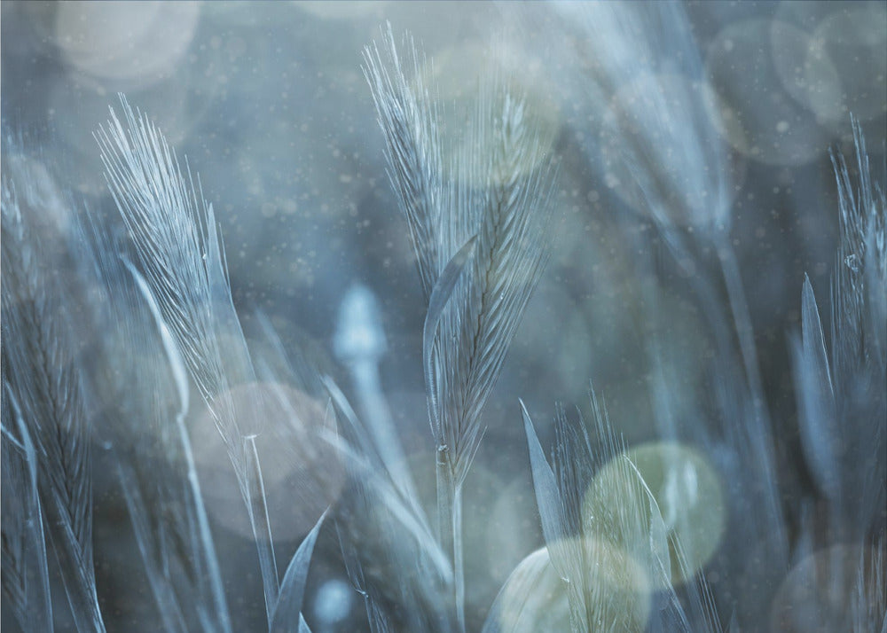 Fantastische natuur | Canvas