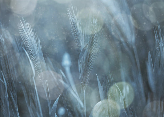 Fantastische natuur | Canvas