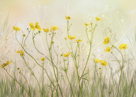 Good morning! | Canvas