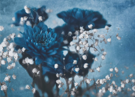 Dahlia | Canvas