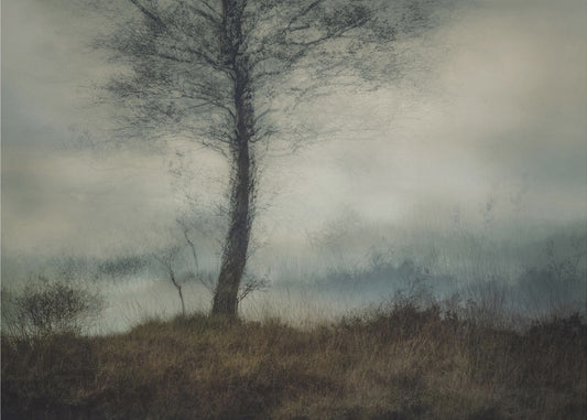 Silent | Canvas