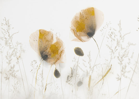 Subtle... | Canvas