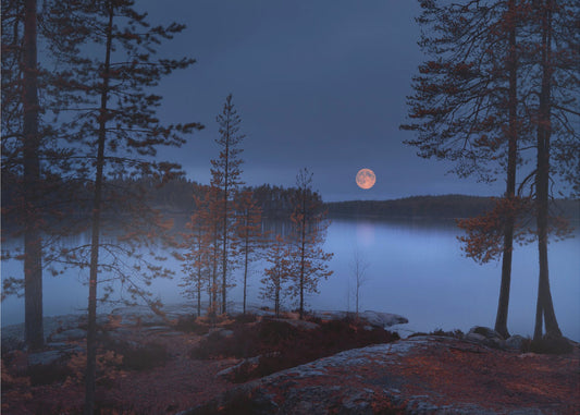 Red Moon | Poster