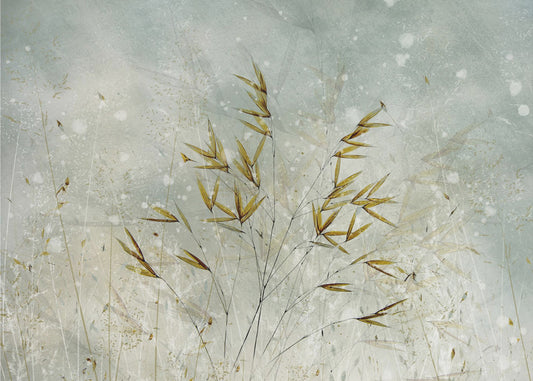 Wintertime | Canvas