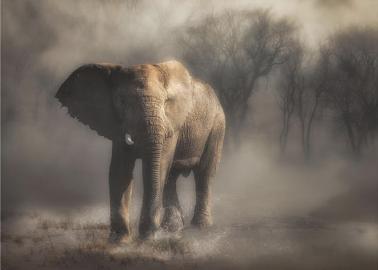 "...olifant drinkt water..." | Behang