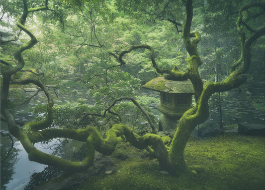 Japanse boom | Canvas