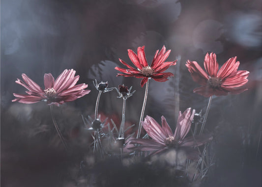 De bloemen van het goede | Canvas