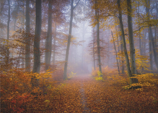 Oktoberpad | Achtergrond