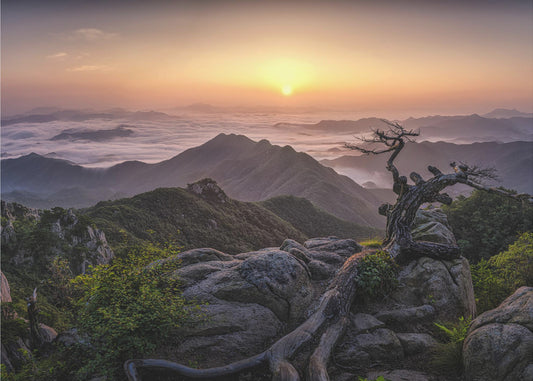 Zonsopgang op de top | Poster