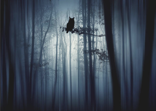 In het bos | Canvas