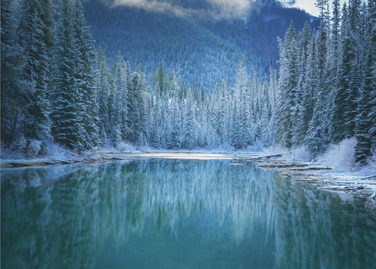 Wonder Winterland | Canvas