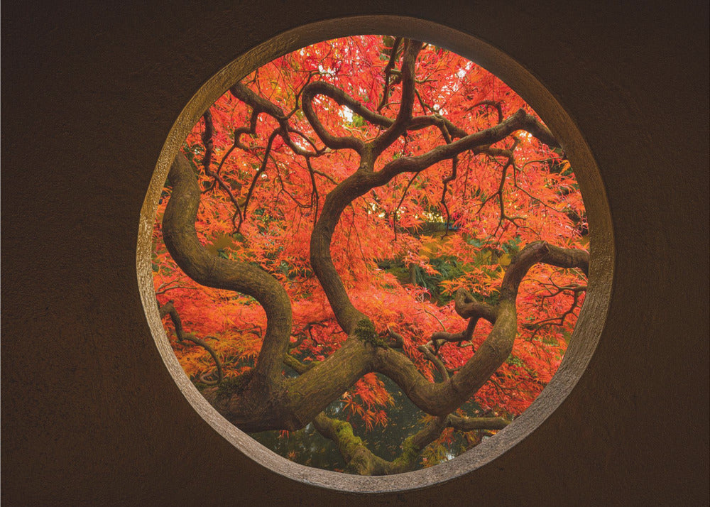 Herfstgevoel | Poster
