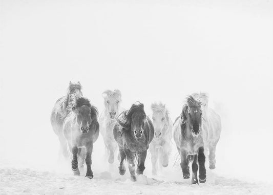 Running in the snow | Canvas