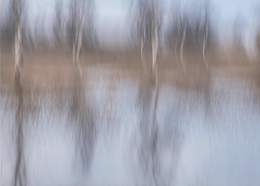 Na de regen | Canvas