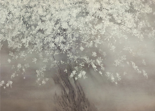Sterren van de lente | Canvas