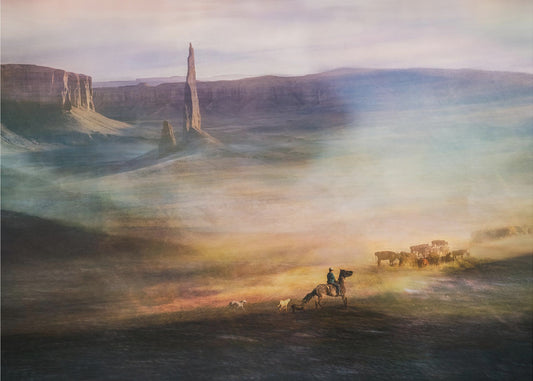 Migrations | Poster