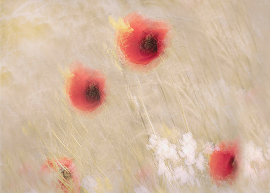 Tussen het gras | Canvas