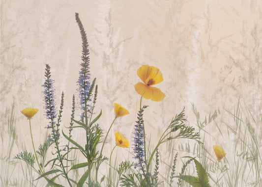 Dromen van bloemen | Canvas