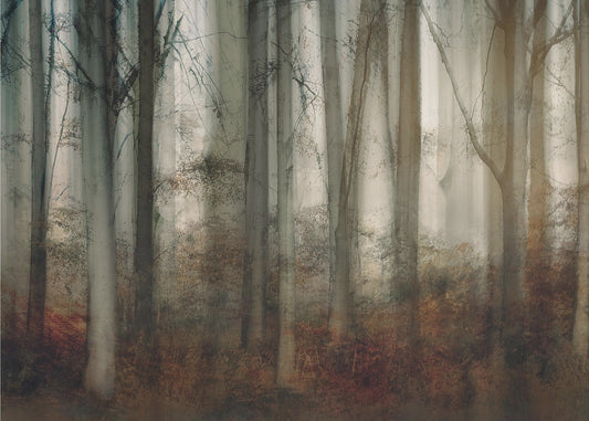 Herfstlicht | Canvas
