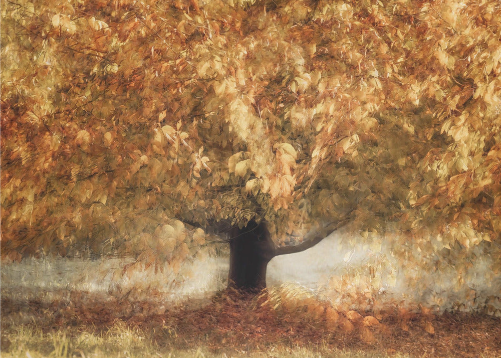 Gouden kleuren | Canvas