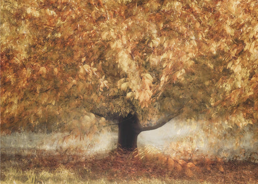 Gouden kleuren | Canvas