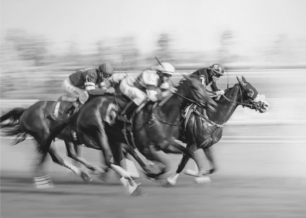 Paardenraces @ Queen's Plate | Achtergrond