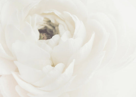Witte Bloem 02 | Canvas