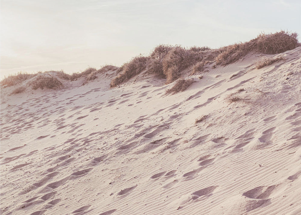Strand_009 | Canvas