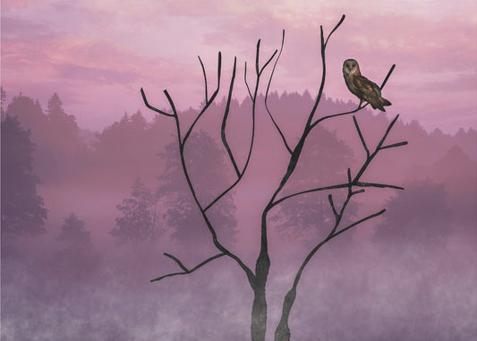 Roze lucht in de ochtend | Poster