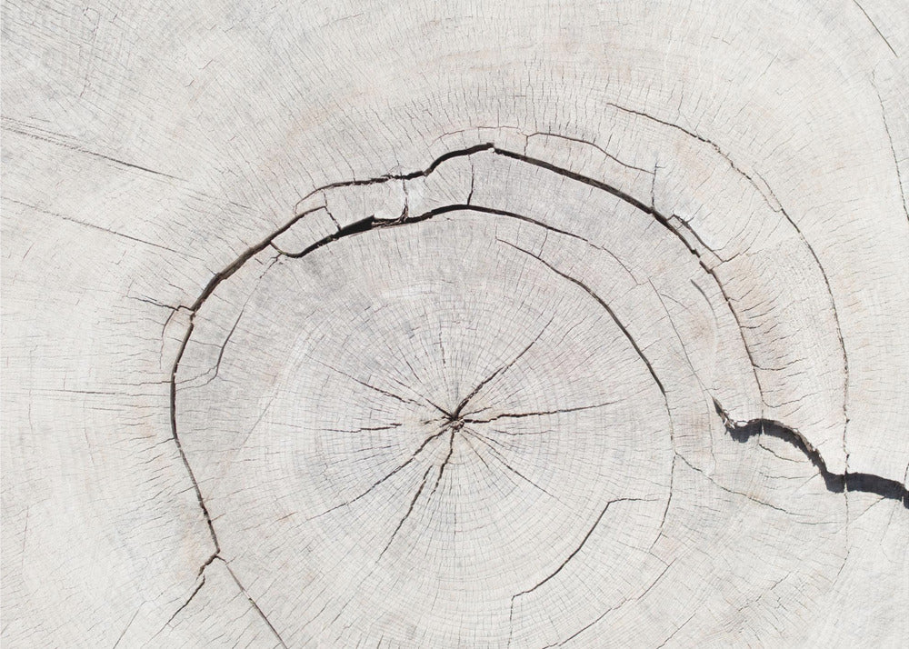Textuur 05 | Canvas
