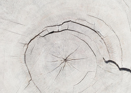 Textuur 05 | Canvas