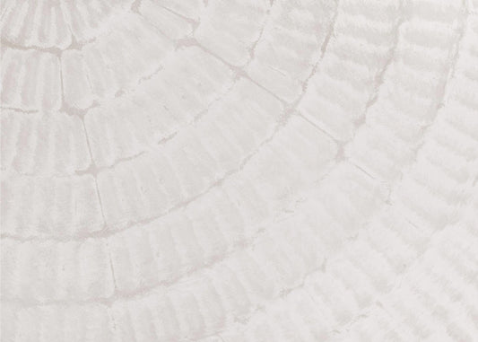 Textuur 06 | Canvas