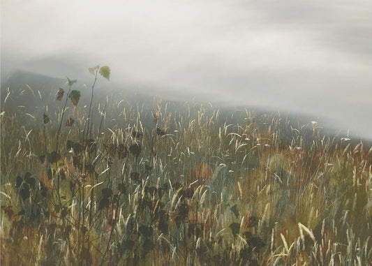 In het veld | Canvas