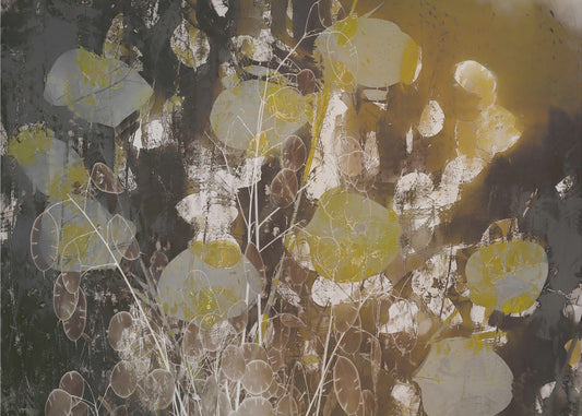 Eerlijkheidsindruk | Canvas
