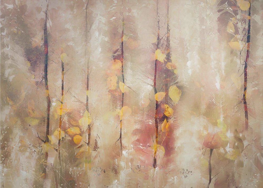 Dromerige kleuren | Canvas