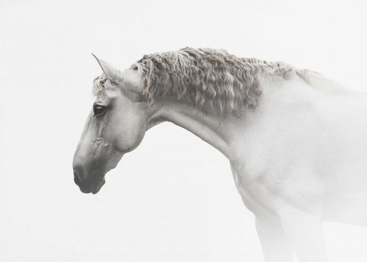 Krullend haar… | Canvas