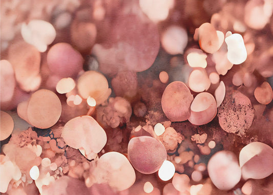 Blush Bokeh Dream | Wallpaper