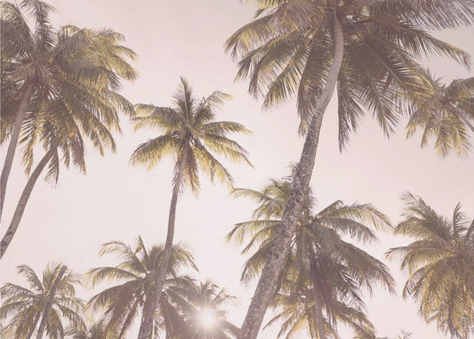 Blozende palmbomen | Canvas
