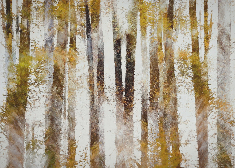Beuken in de herfst | Canvas