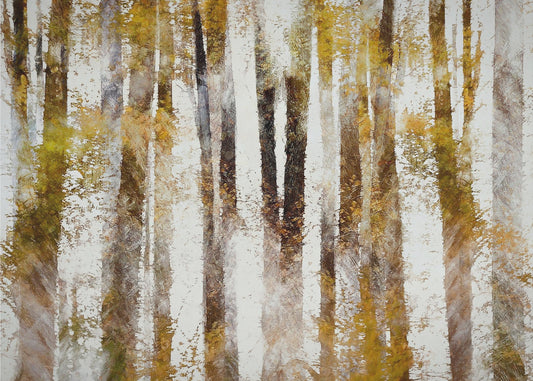 Beuken in de herfst | Canvas