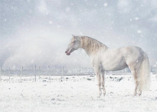 Laat het sneeuwen... | Behang