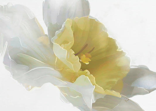 Narcis | Canvas