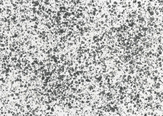 Monochrome spikkels | Canvas